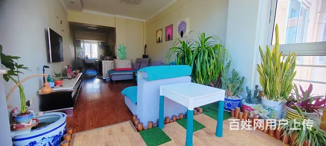 房屋出售 - 图片 8
