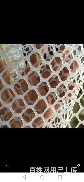 【搞定了！】养鸭养鸡育雏专用网 - 图片 1