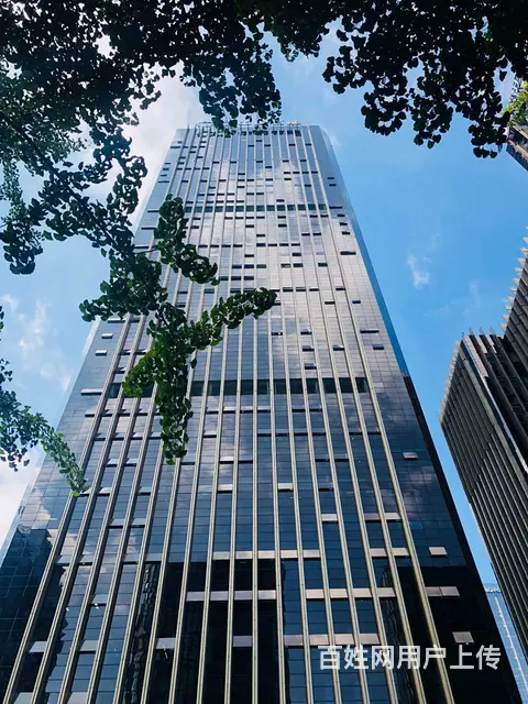 IECC国际科技节能大厦高新区天府三街站精装现房租售 - 图片 2