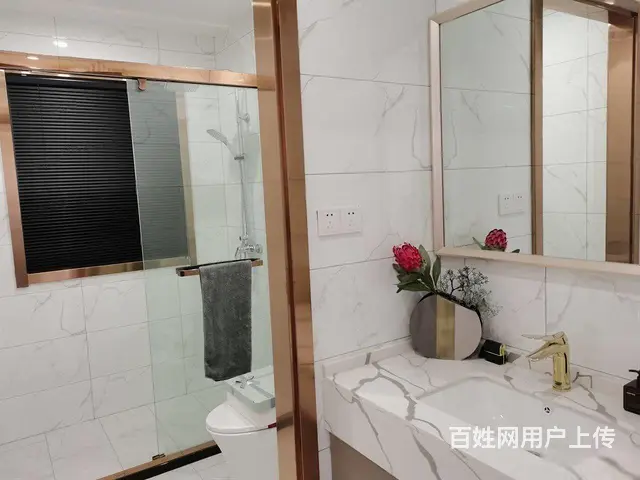 吾悦广场集中供暖轻轨S1人民医院旁泉城壹号院 - 图片 7