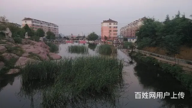 淄川白庙垂钓园出租 - 图片 5
