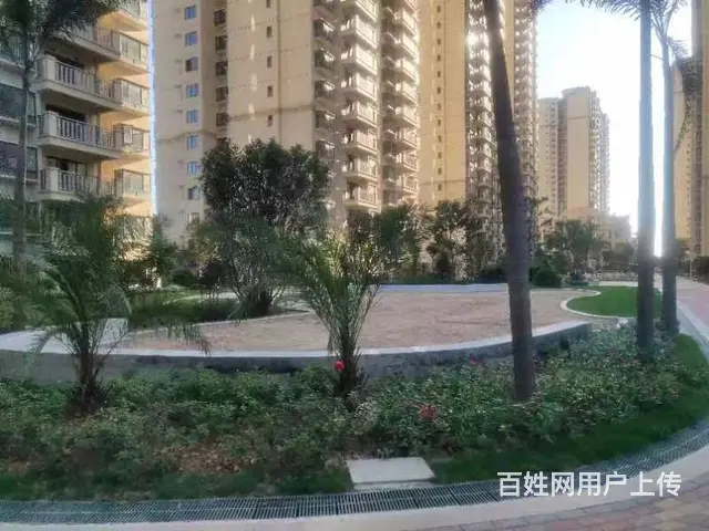 国企4字头 现房 靠近园博园 - 图片 12
