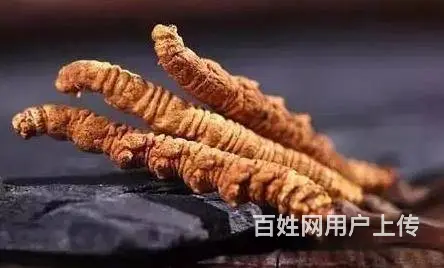 邢台任县茅台酒五粮液国窖1573回收求购 - 图片 1