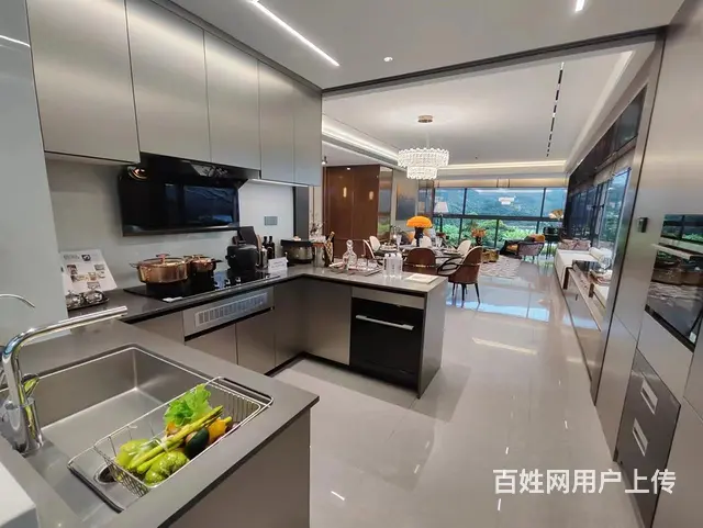 珠海香洲，近华发商都，岭南府院正方南湾首府，中式园林五一特价 - 图片 4