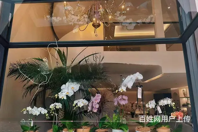 （及 致）精装修3层美容养生馆转让！装修好！接手就可营业！ - 图片 8