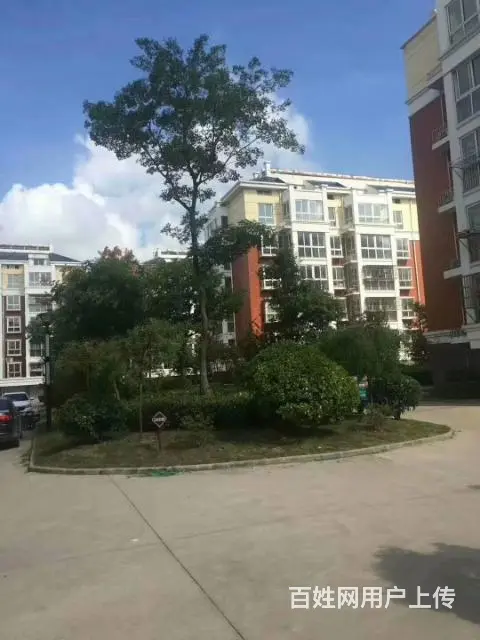 首付二万，首付二万，首付二万，70年纯住宅
位于： - 图片 6
