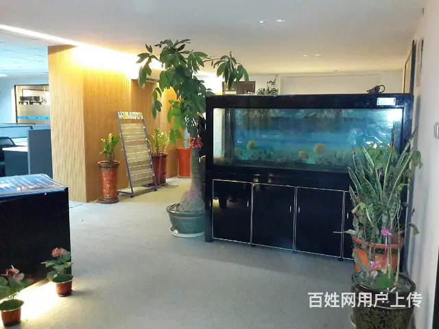 嘉禾路 吕厝 地铁口  阿里山大厦 精装个人产权 低价急卖 - 图片 6