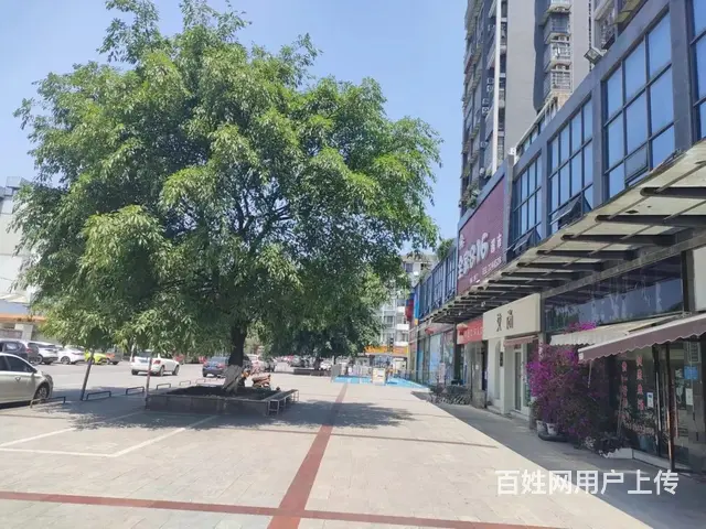 (精选好铺)永兴镇兴华南路临街盈利服装店转让 - 图片 5