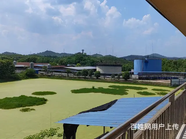 南充麦伦农业有限公司猪场招租公告 - 图片 4