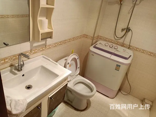 出租北桥滨河南，楼拎包入住 - 图片 6