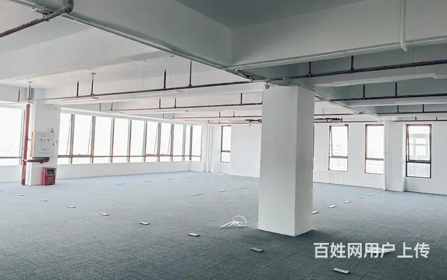 白蕉开发区（可分租）10万方 红本厂房 产业园 近高速 港口 - 图片 8