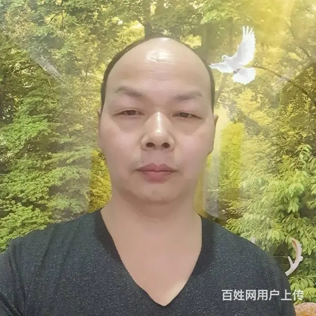找真心过日子的女士 - 图片 2