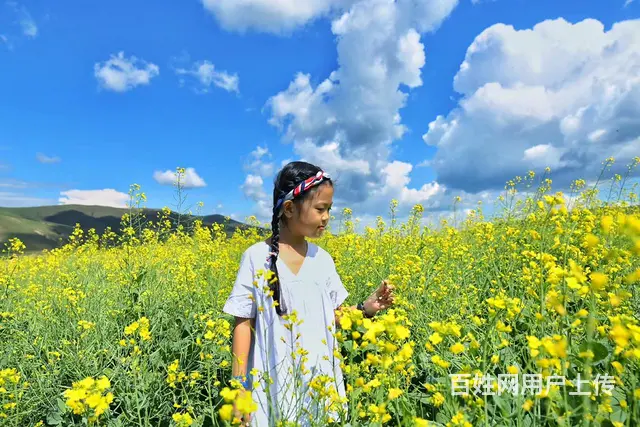 呼伦贝尔大草原自由行包车师傅推荐《王师傅》 - 图片 1