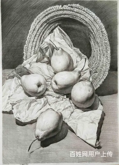 哪里可以零基础学画画？素描班 - 图片 4