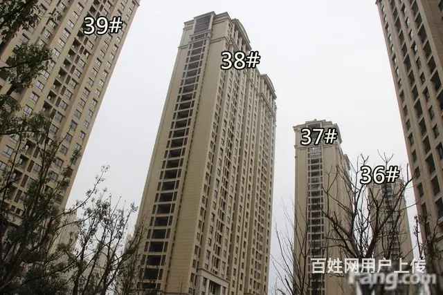 博小+北郊！远离铁路金新鼎邦3室2厅豪装双卧朝南满 - 图片 11