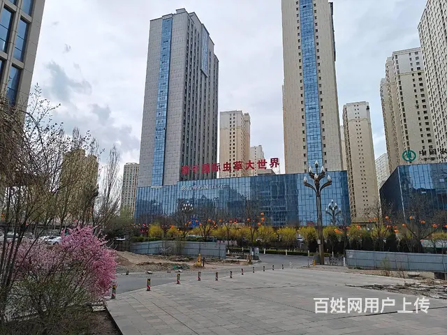 BP个人 虫草大世界对面酒店可租可售 - 图片 1