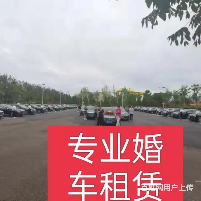 专业婚车租赁 - 图片 2