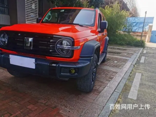 坦克300现车 - 图片 9