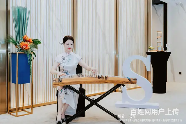 苏州礼仪庆典活动演出演艺节目摄影摄像灯光舞美 - 图片 11
