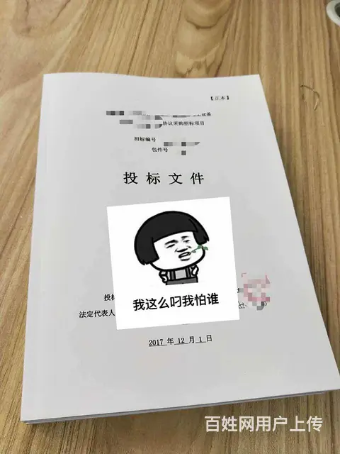 泰安标书制作【为客户做好每一份标书】 - 图片 8