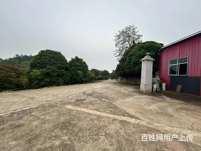 （老板本人）开福区沙坪街道独院厂房仓库出租  6260 - 图片 2