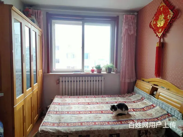 龙江新居 普通住宅 中等装修 - 图片 4