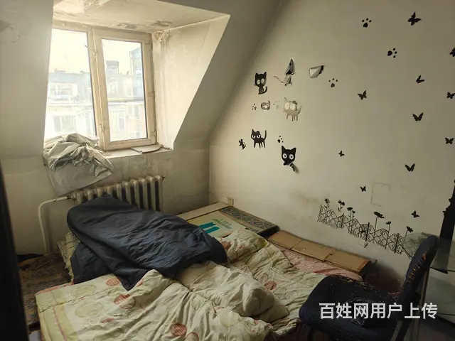超低价收南星花园步梯8楼65平3.6 - 图片 3