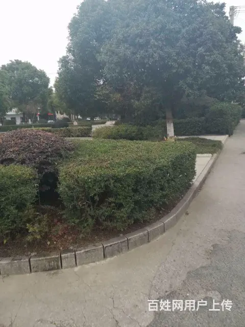 长江通道旁泰兴江东府湿地公园，单价六千五到七千，户 - 图片 11
