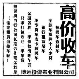 热门：汽车抵押借款免费评估 - 图片