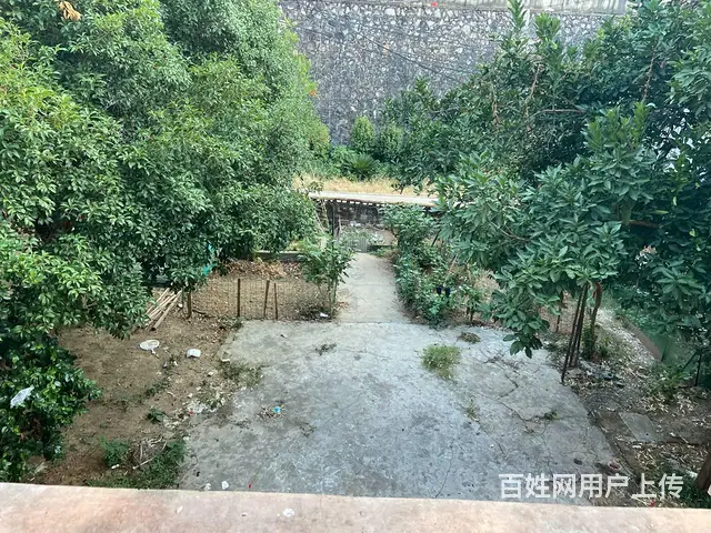 茶山里面凤凰山 普通住宅 简单装修 - 图片 9