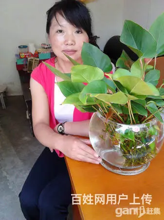 专业保姆，月嫂，育婴师，钟点，护理 - 图片 8