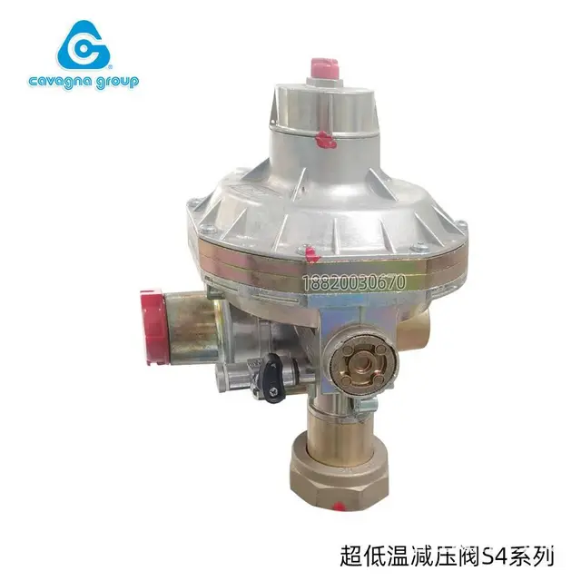 卡瓦尼亚天然气调压器S4撬柜用锌制双级调压减压阀 - 图片 2