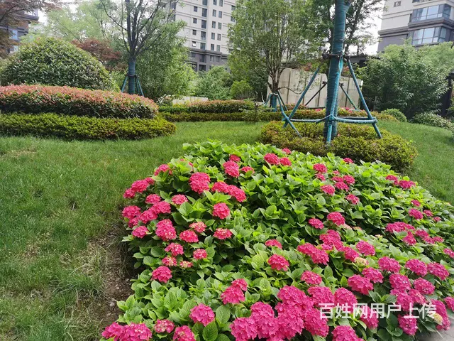 凤凰花园公务员小区带车位89万诚心出售 - 图片 11