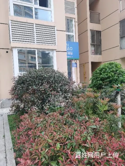 龙城国际快递店转让 - 图片 4