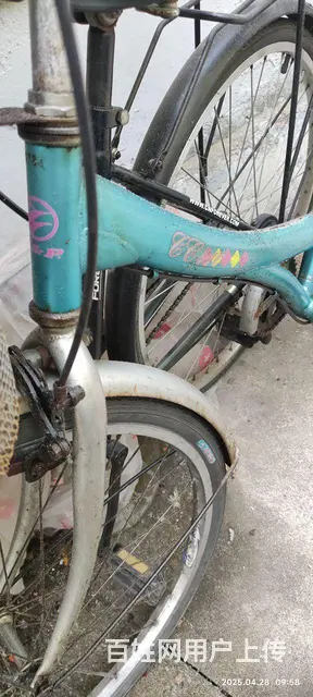 酷绿色巨凤车自行车很好骑无故障顺溜舒适 - 图片 1