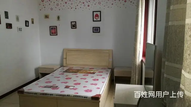标准一室一厅一卫拎包入住 - 图片 3