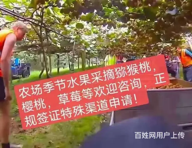 绍兴合法工签出国务工，轻轻松松年入40万 - 图片 2
