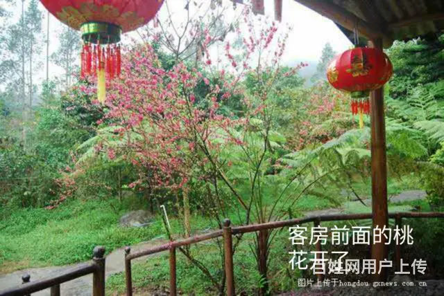 桃花溪山庄转让 - 图片 6