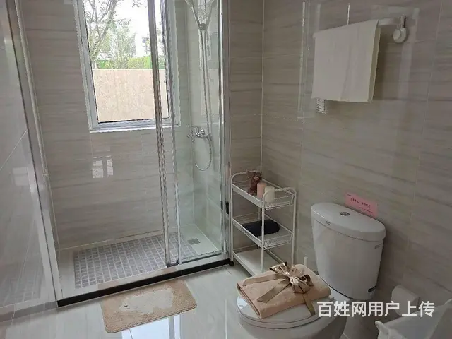 低密度，6层电梯洋房，一楼带院，顶楼带阁楼，吾悦轻轨s1 - 图片 6