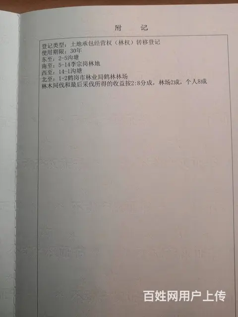 20亩林地转让7万元 - 图片 3
