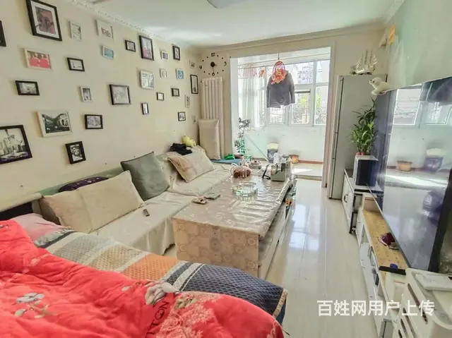 城西 贾小庄小学 二中 客厅朝南 采光视野无遮挡 - 图片 2