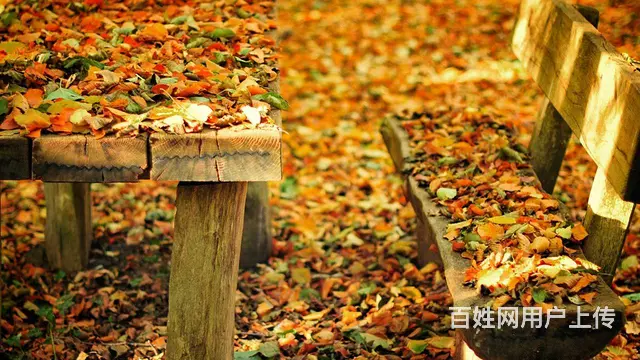 刷到快手体育广告效果怎样，开户联系电话 - 图片