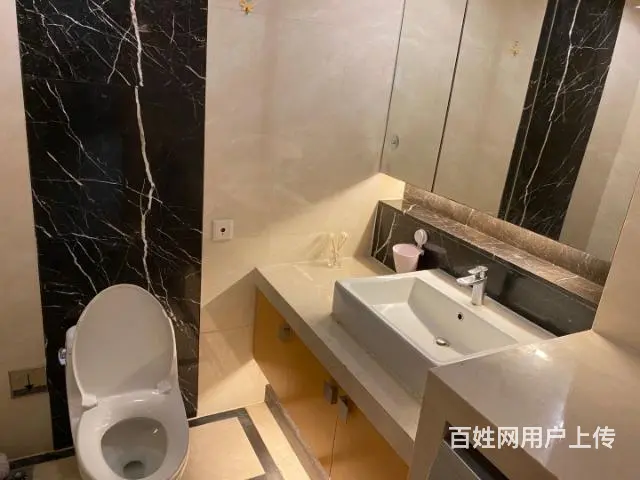 新城国际公寓 北郊国际中学附近 一室一厅一卫 - 图片 7