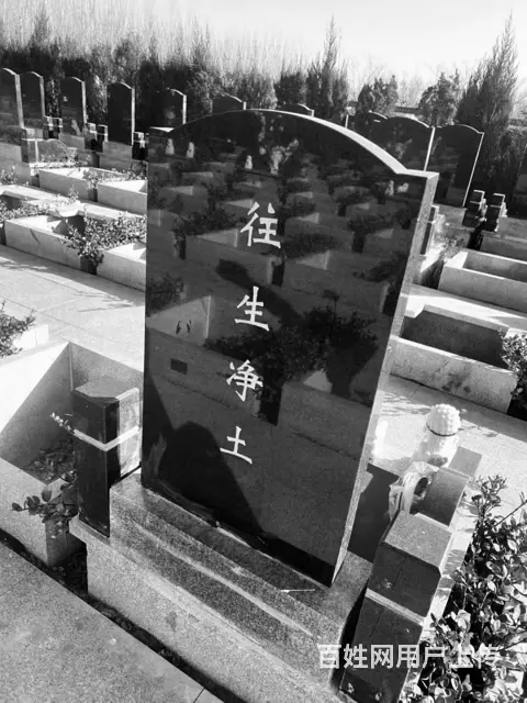唐山公墓销售 - 图片 4
