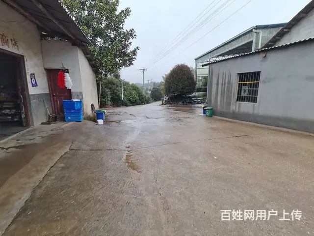 （老板本人）黄兴镇晟象物流园附近厂房仓库房东优价出租6205 - 图片 8