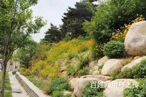 捡漏了！戚家夼精装修好楼层，离塔山小学、中学很近，送大草厦子 - 图片 10