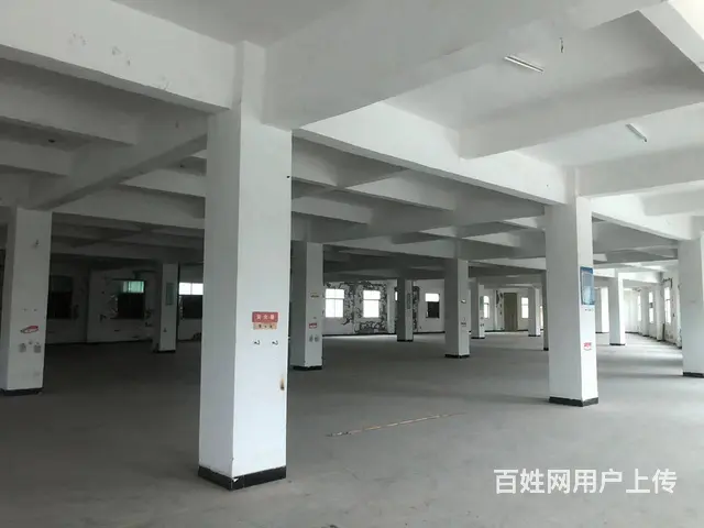厂房出租 靠近大马路 交通便利 厂房宽敞 进出大车方便 - 图片 6