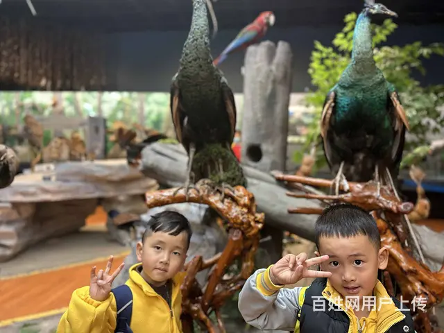 昆明官渡区双语托儿所	选去昆明睿思幼儿园 - 图片 3