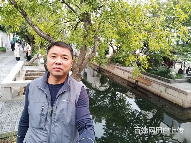 寻找生活伴侣 - 图片 7