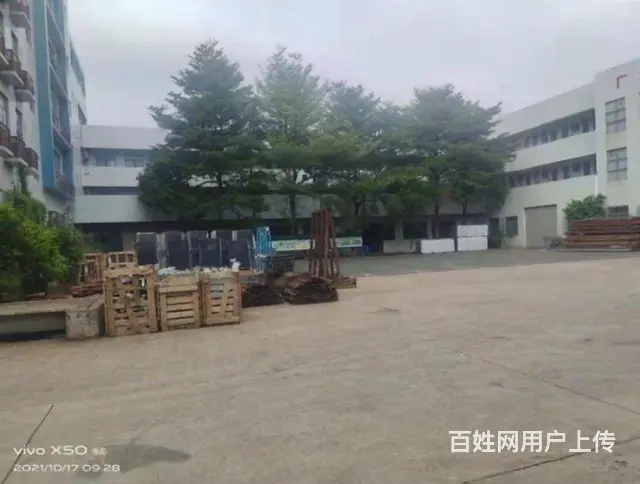 珠海中心区9成新国有红本厂房出售 产权清晰无抵押 - 图片 2